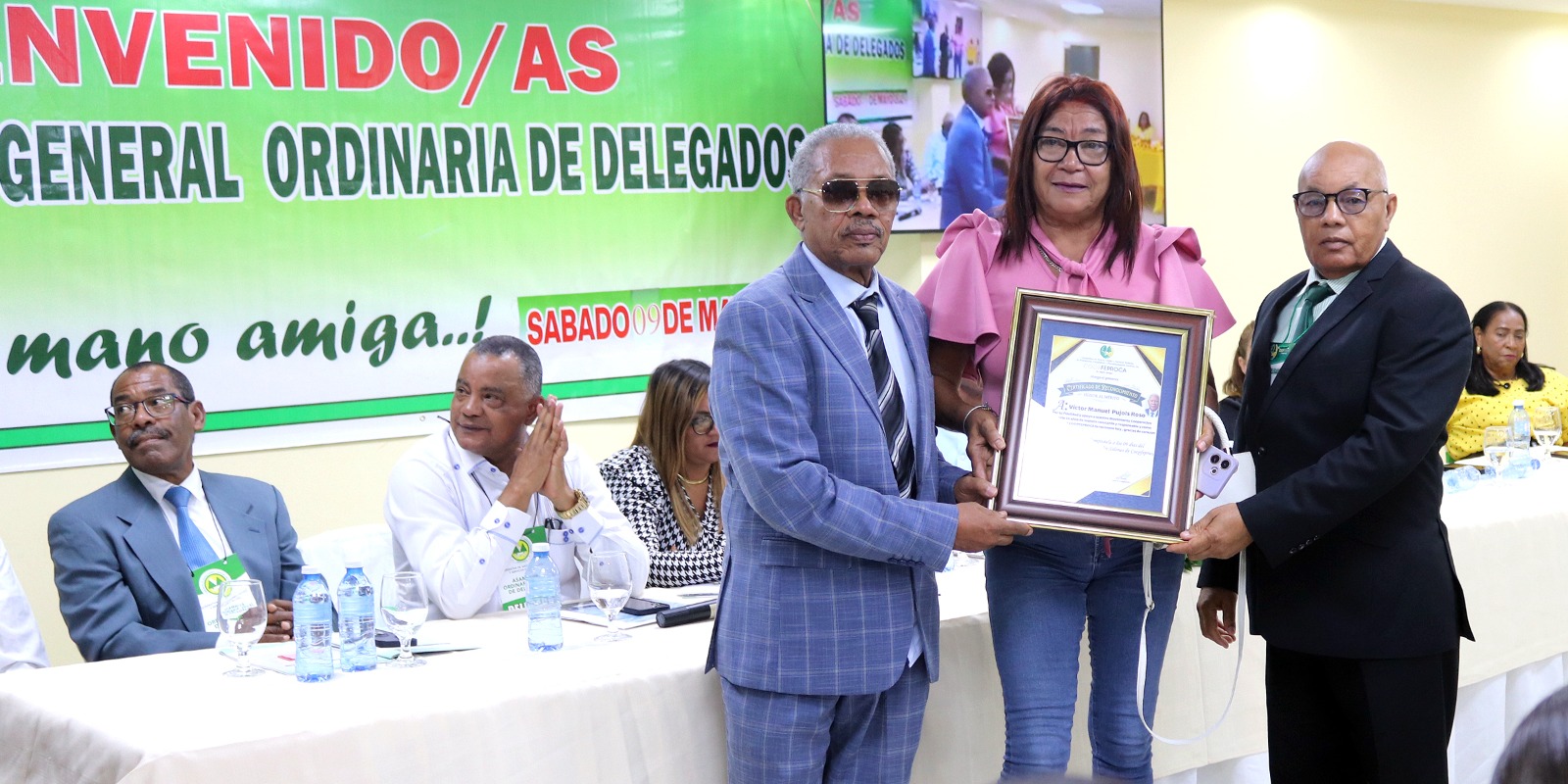 Asamblea Plenaria